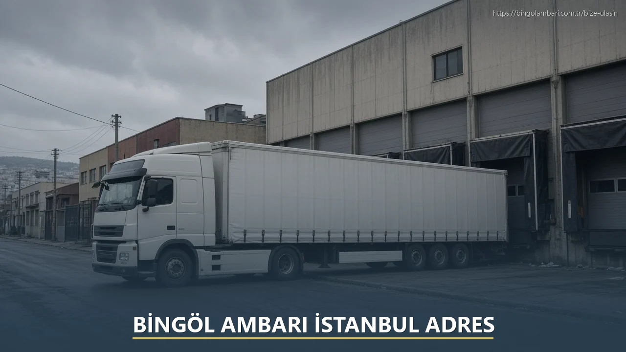 Bingöl Ambarı İstanbul Adres